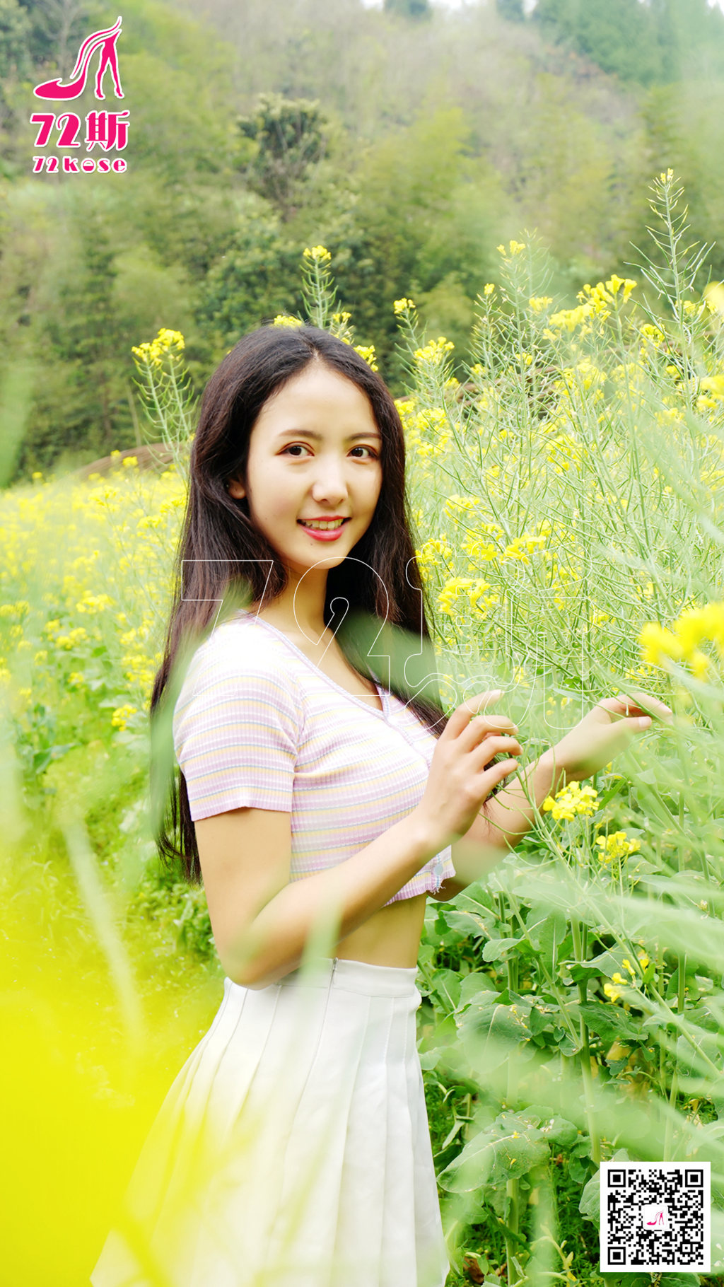 [72斯] NO.013 油菜花-芒果图库